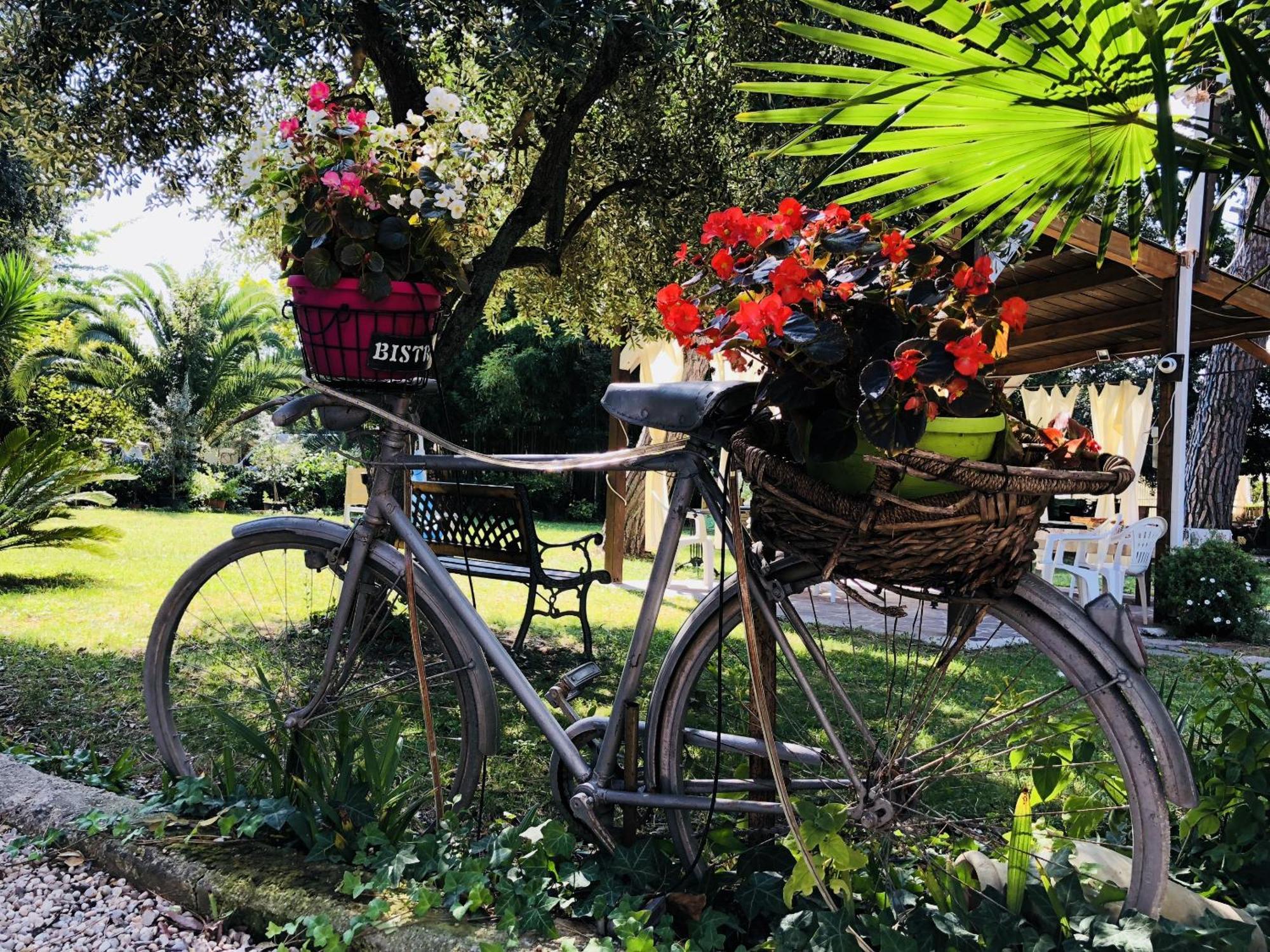 Montesilvano Marina Villa Berghella מראה חיצוני תמונה